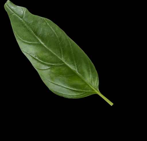 spec of veggie