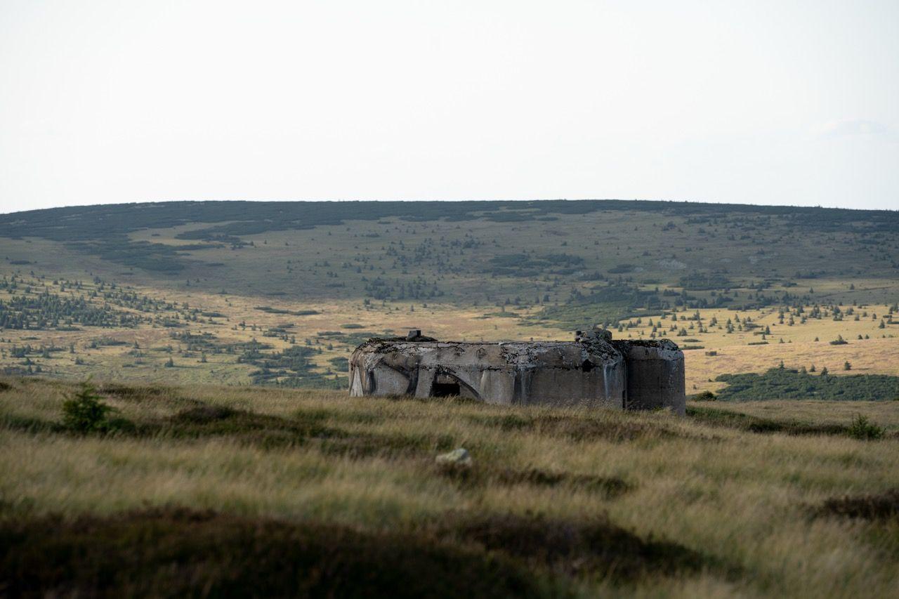 strapi: https://strapi.goodlunch.cz