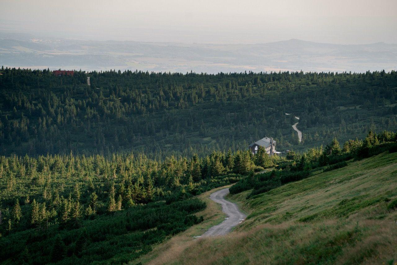 strapi: https://strapi.goodlunch.cz